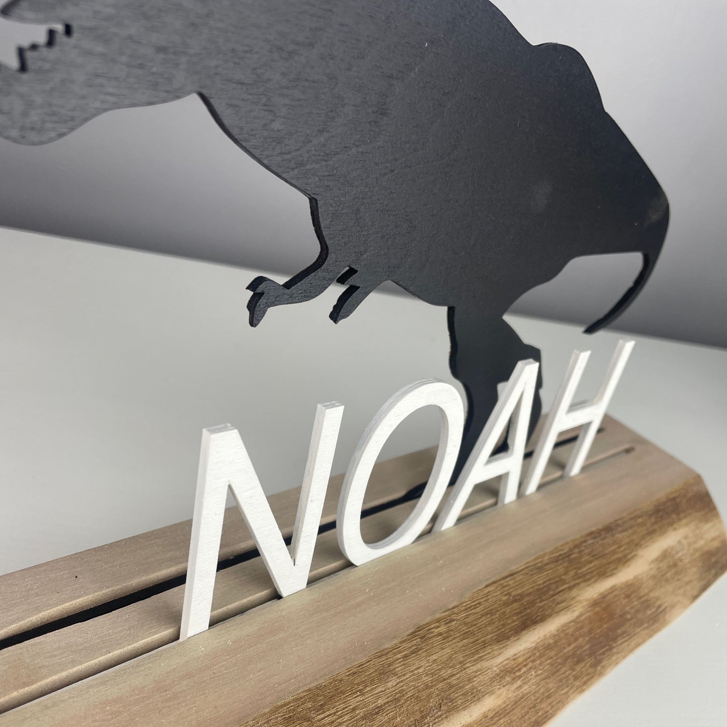 Custom Dinosaur Standing Name Sign