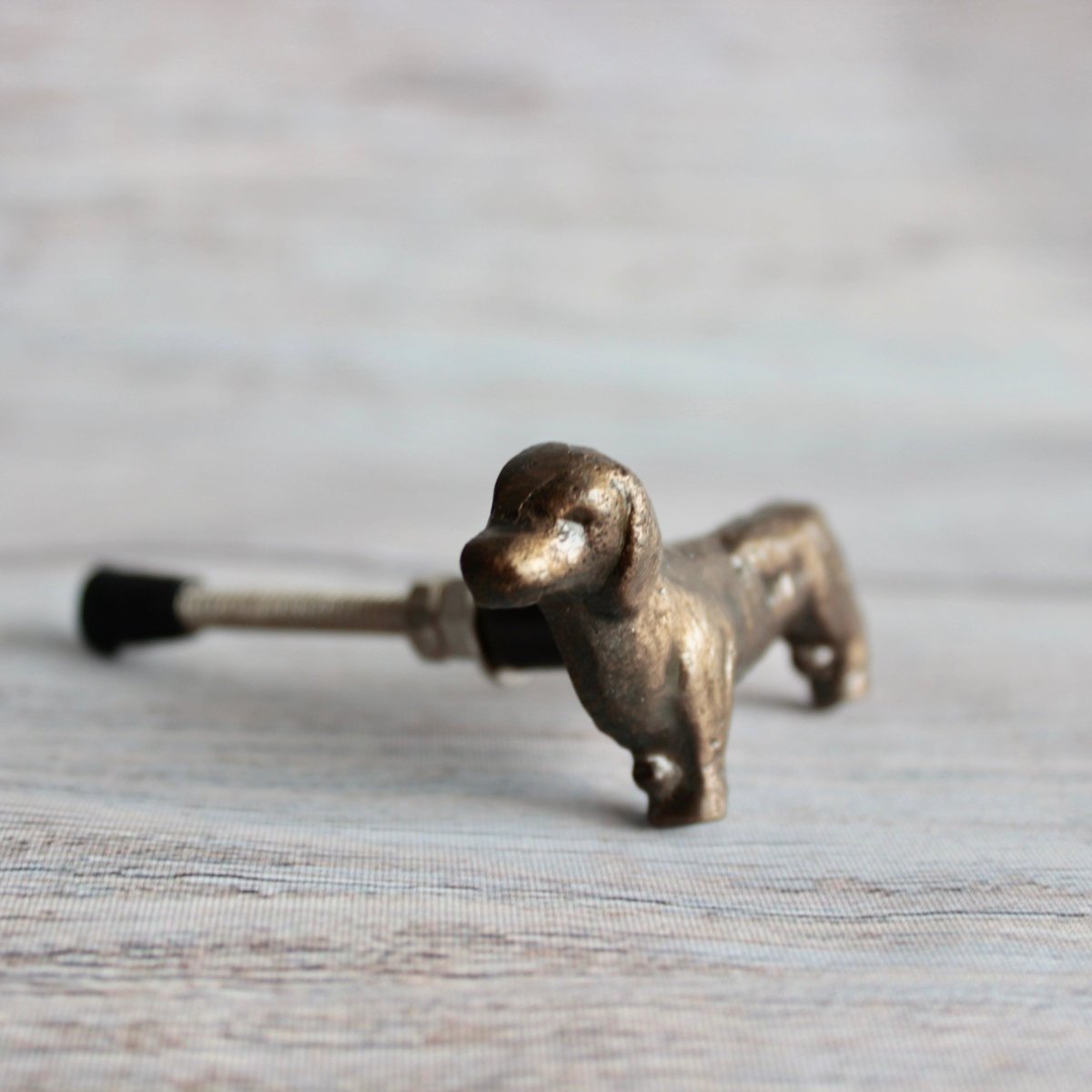 Dachshund Knob in Antique Brass - DaRosa Creations