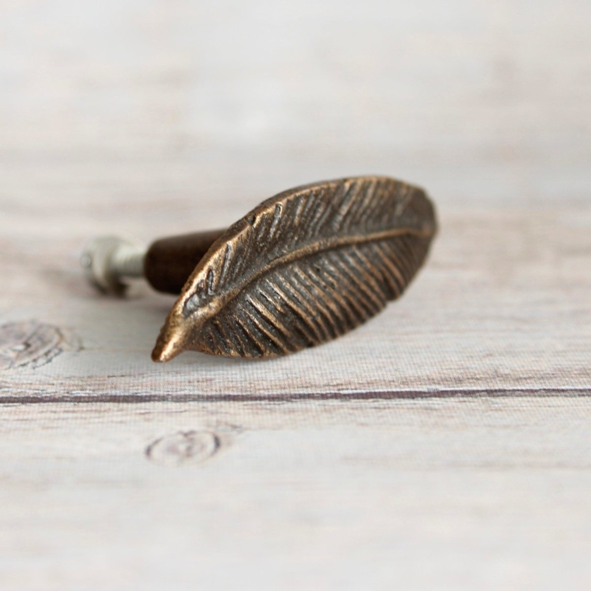 Leaf knob in Antique Brass - DaRosa Creations