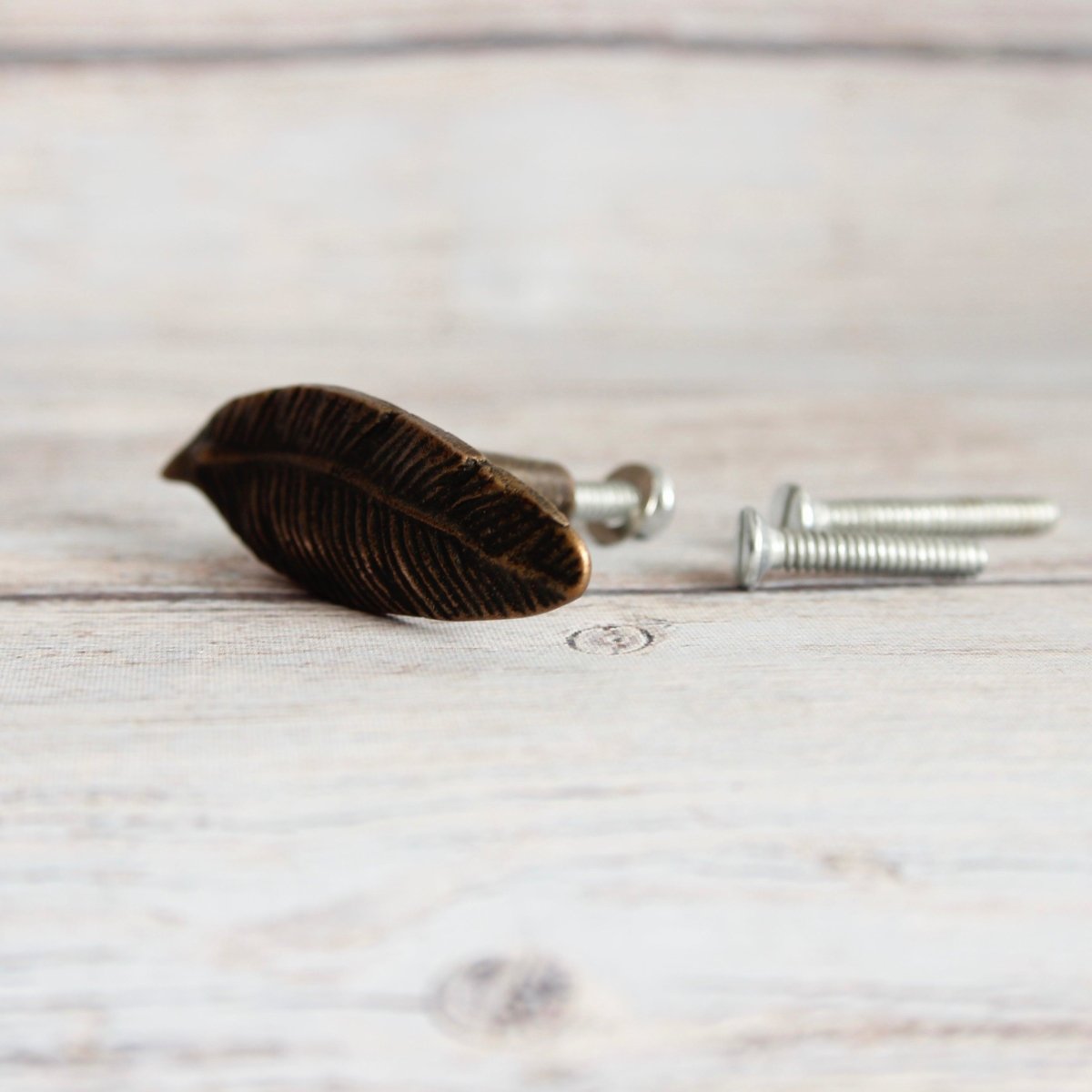 Leaf knob in Antique Brass - DaRosa Creations