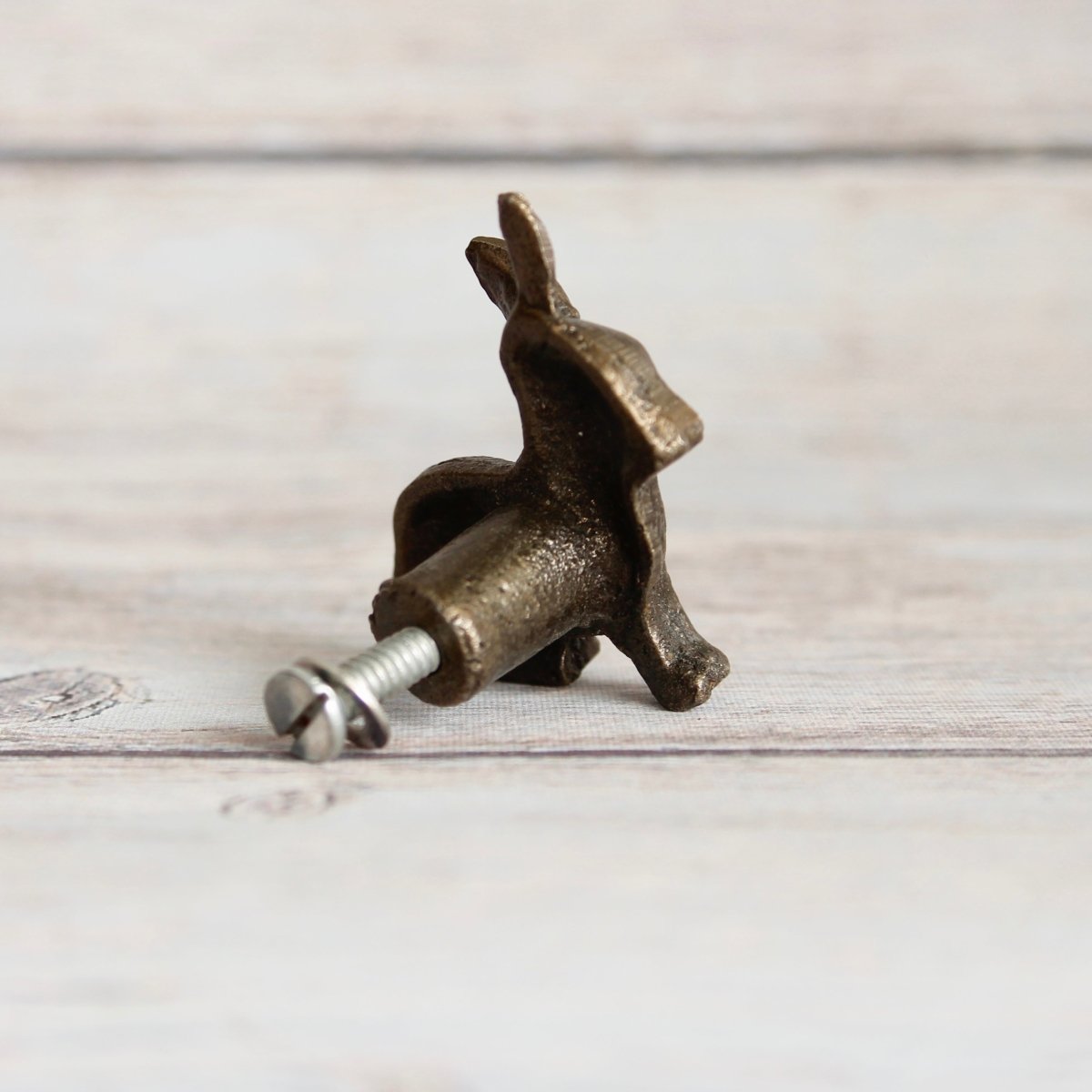 Little Rabbit Knob in Brass - DaRosa Creations