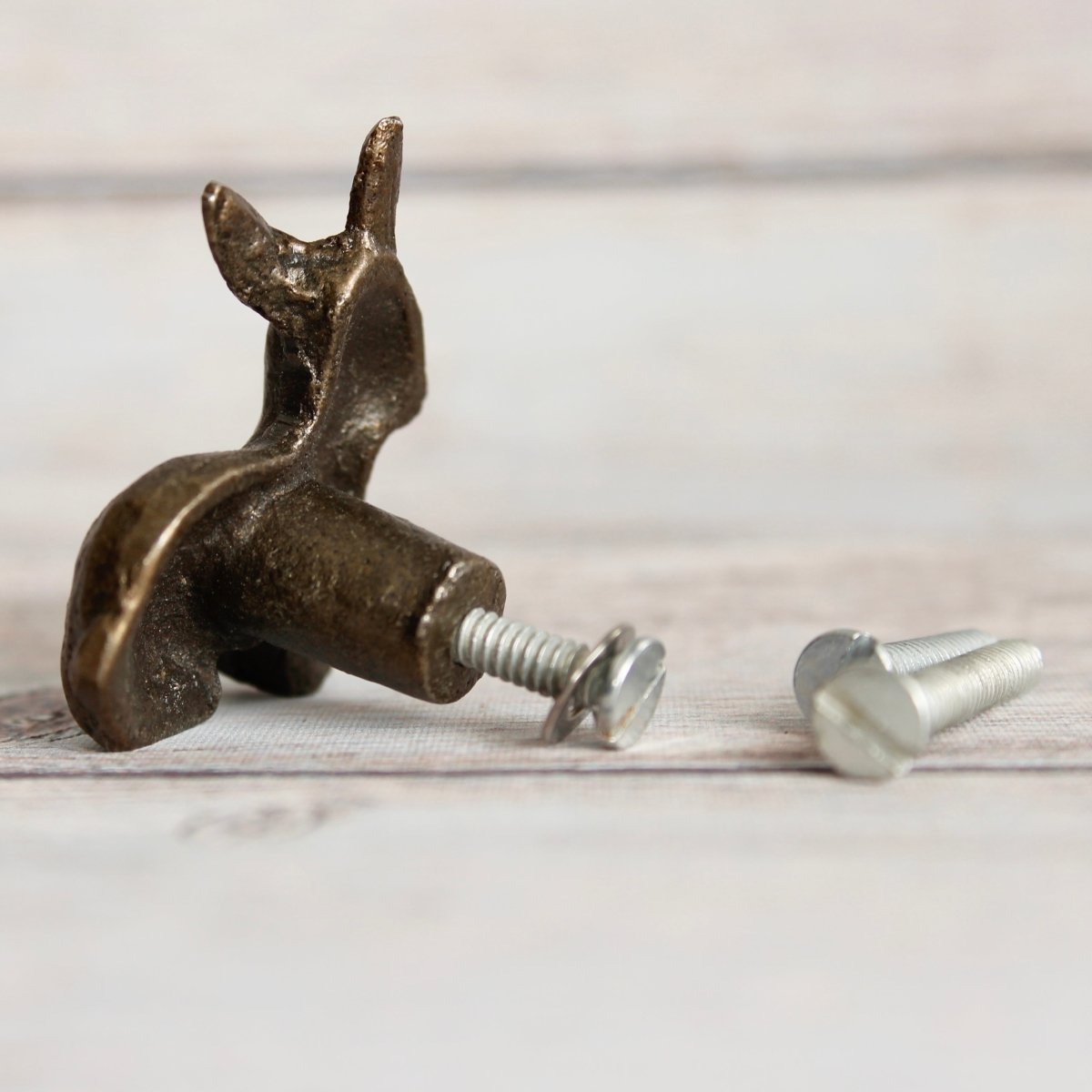 Little Rabbit Knob in Brass - DaRosa Creations