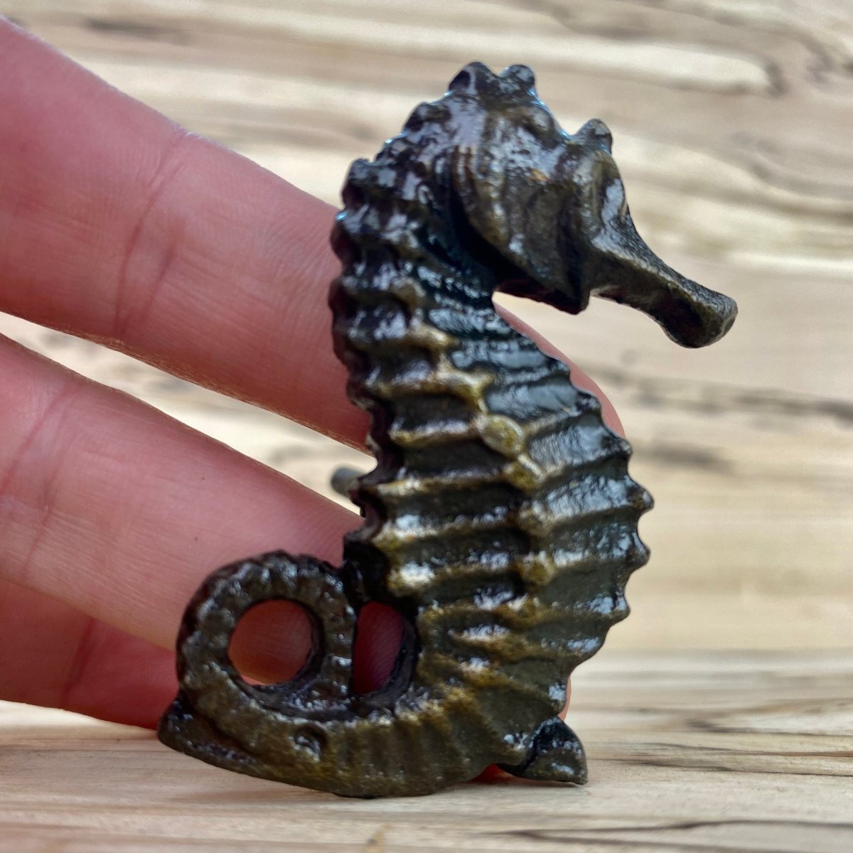 Seahorse Drawer Knob in Bronze - DaRosa Creations