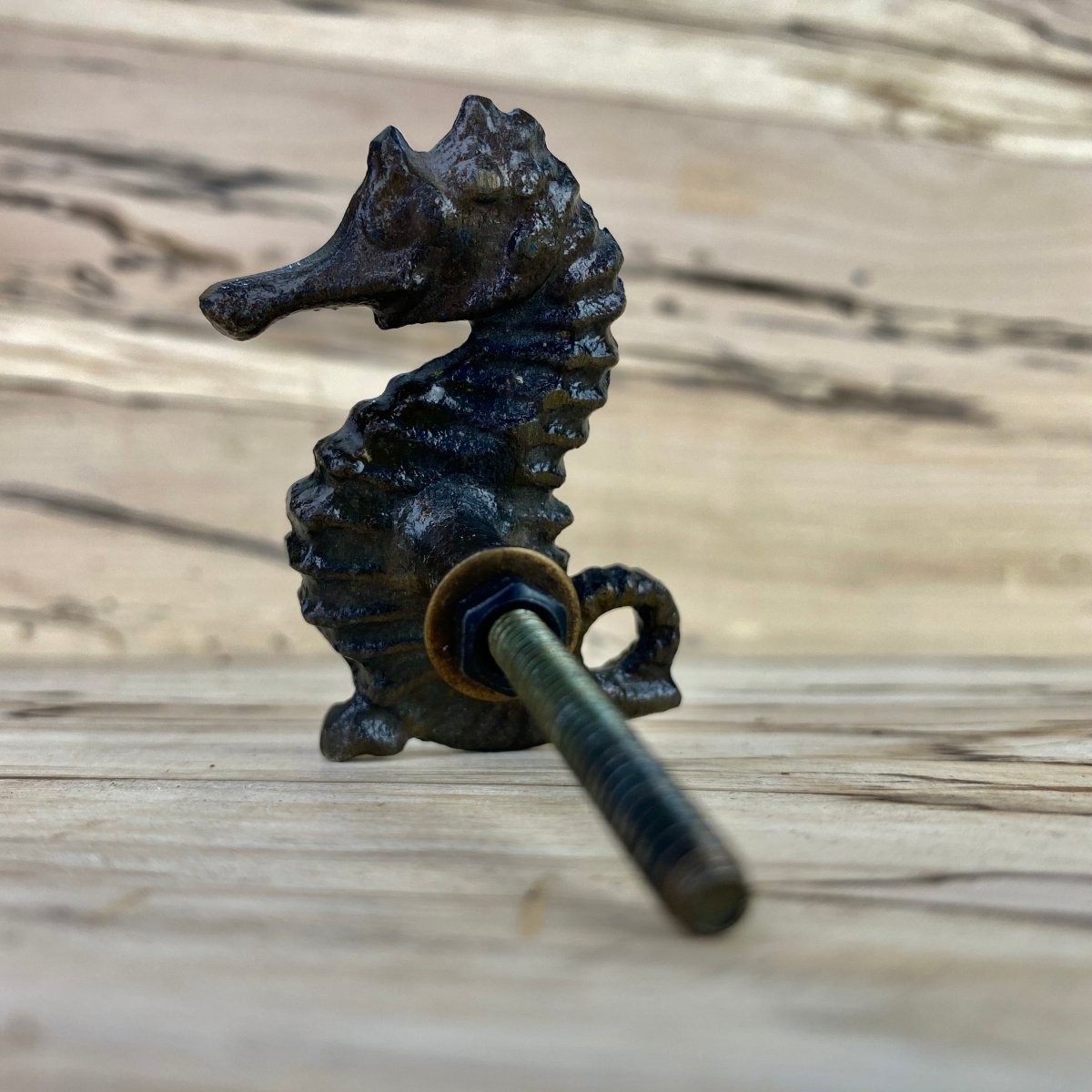 Seahorse Drawer Knob in Bronze - DaRosa Creations