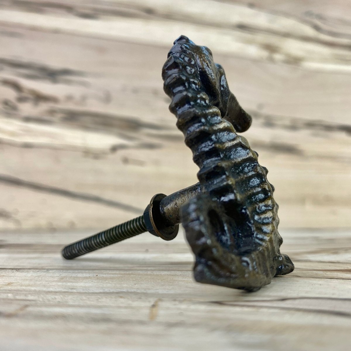 Seahorse Drawer Knob in Bronze - DaRosa Creations