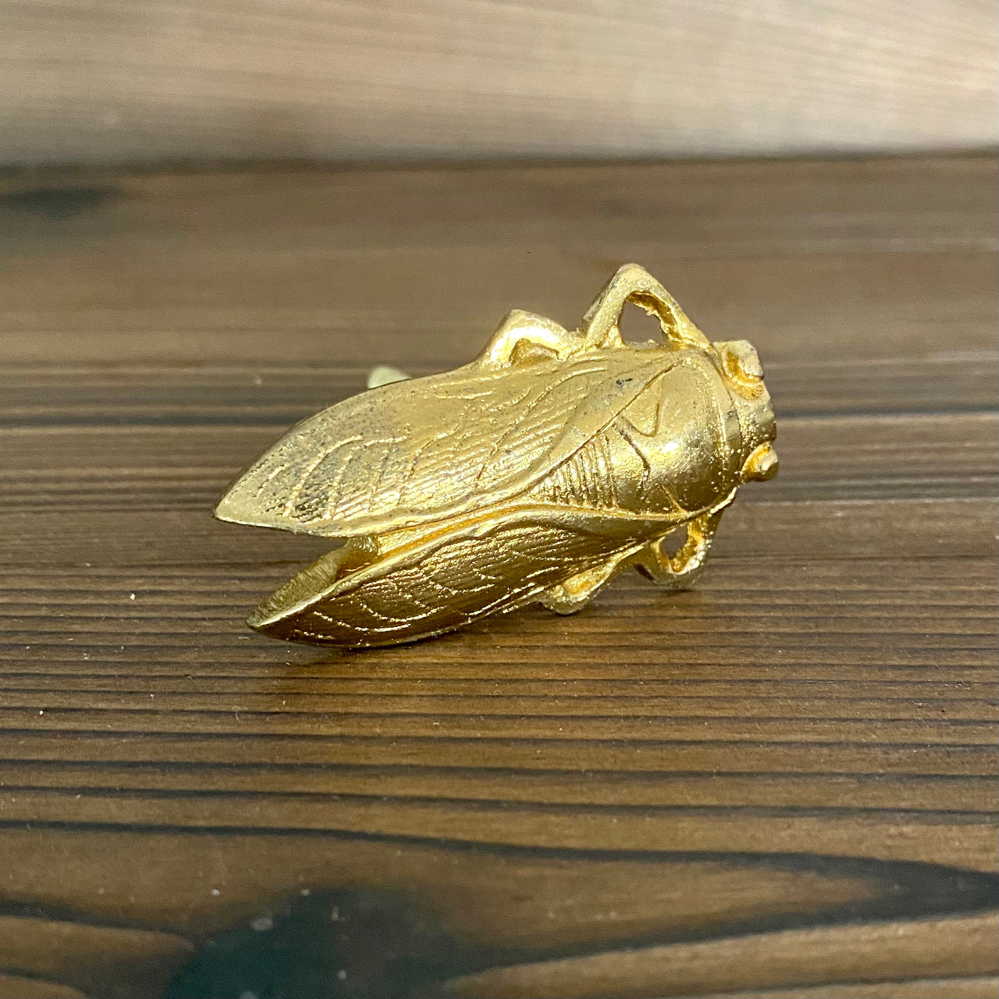 Gold Cicada Drawer Knob laying on piece of shou sugi ban wood
