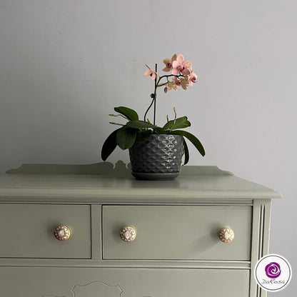 Sage Green Tall Dresser