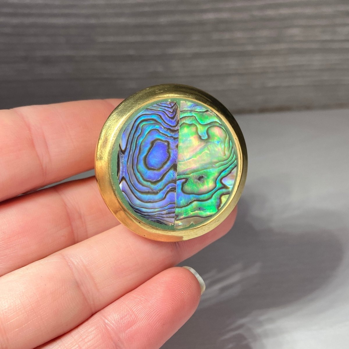 Abalone Round Drawer Knob - DaRosa Creations