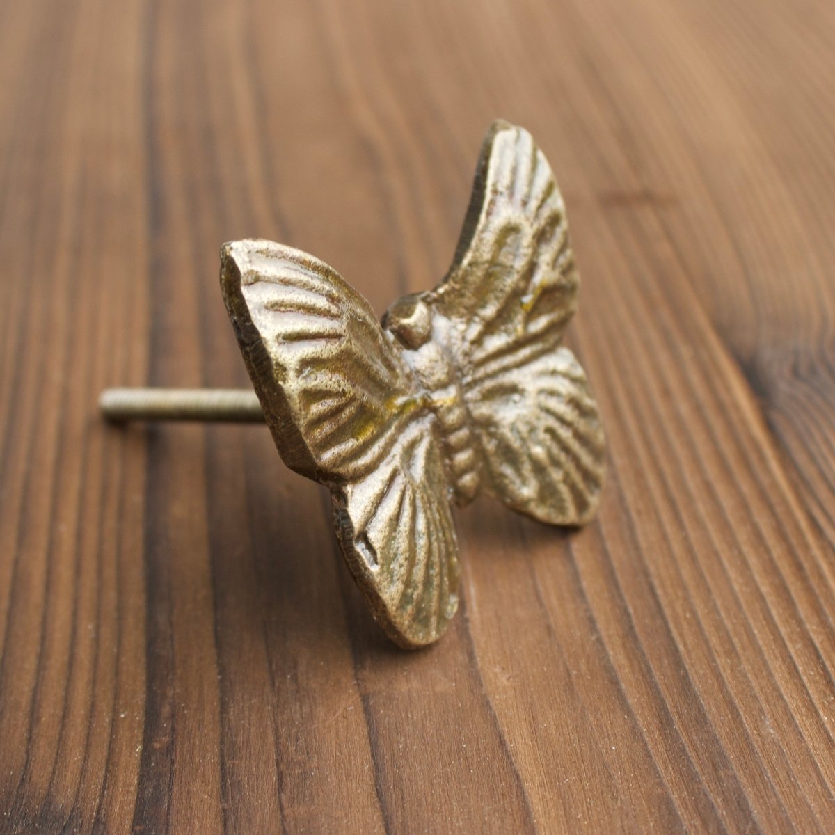 Butterfly Drawer Knob in Bronze - DaRosa Creations
