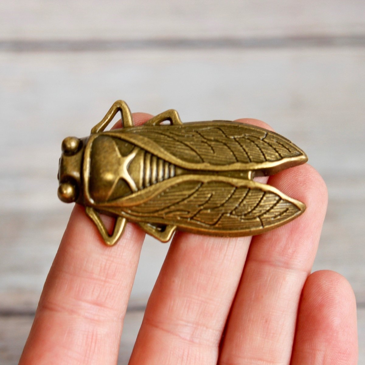 Cicada Knob in Antique Brass - DaRosa Creations