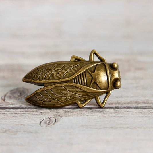 Cicada Knob in Antique Brass - DaRosa Creations