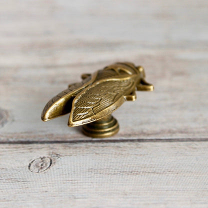Cicada Knob in Antique Brass - DaRosa Creations