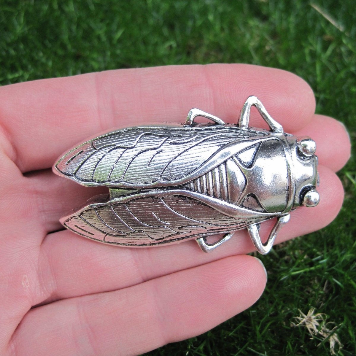 Cicada knob in SIlver - DaRosa Creations