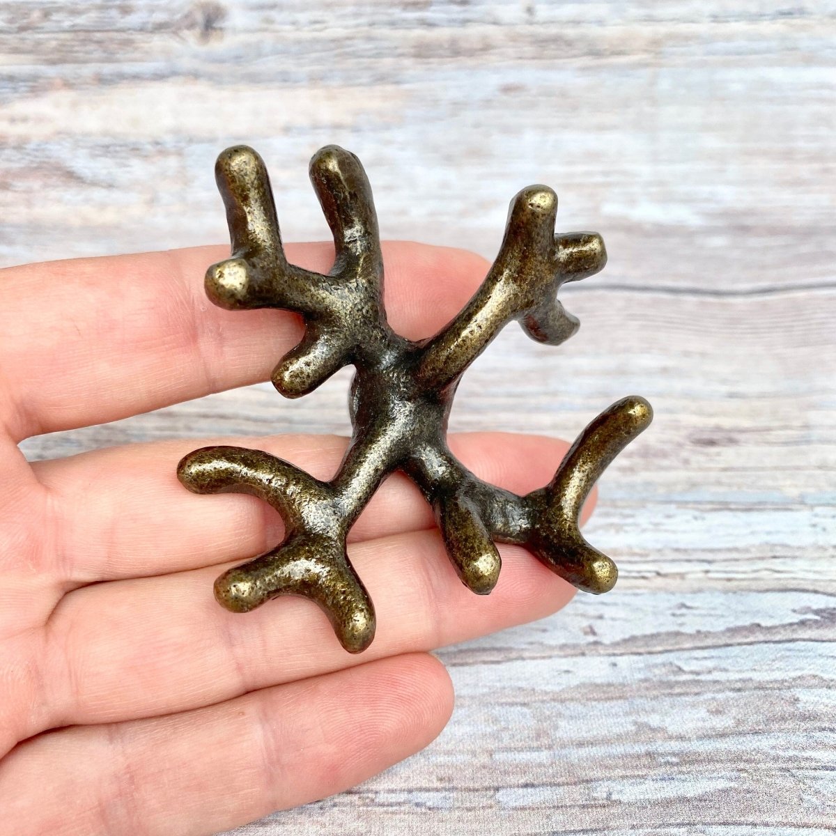 Coral Drawer Knobs in Antique Brass for Coastal Decor - DaRosa Creations