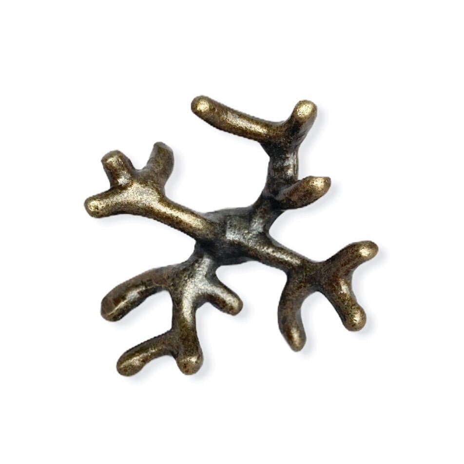 Coral Drawer Knobs in Antique Brass for Coastal Decor - DaRosa Creations