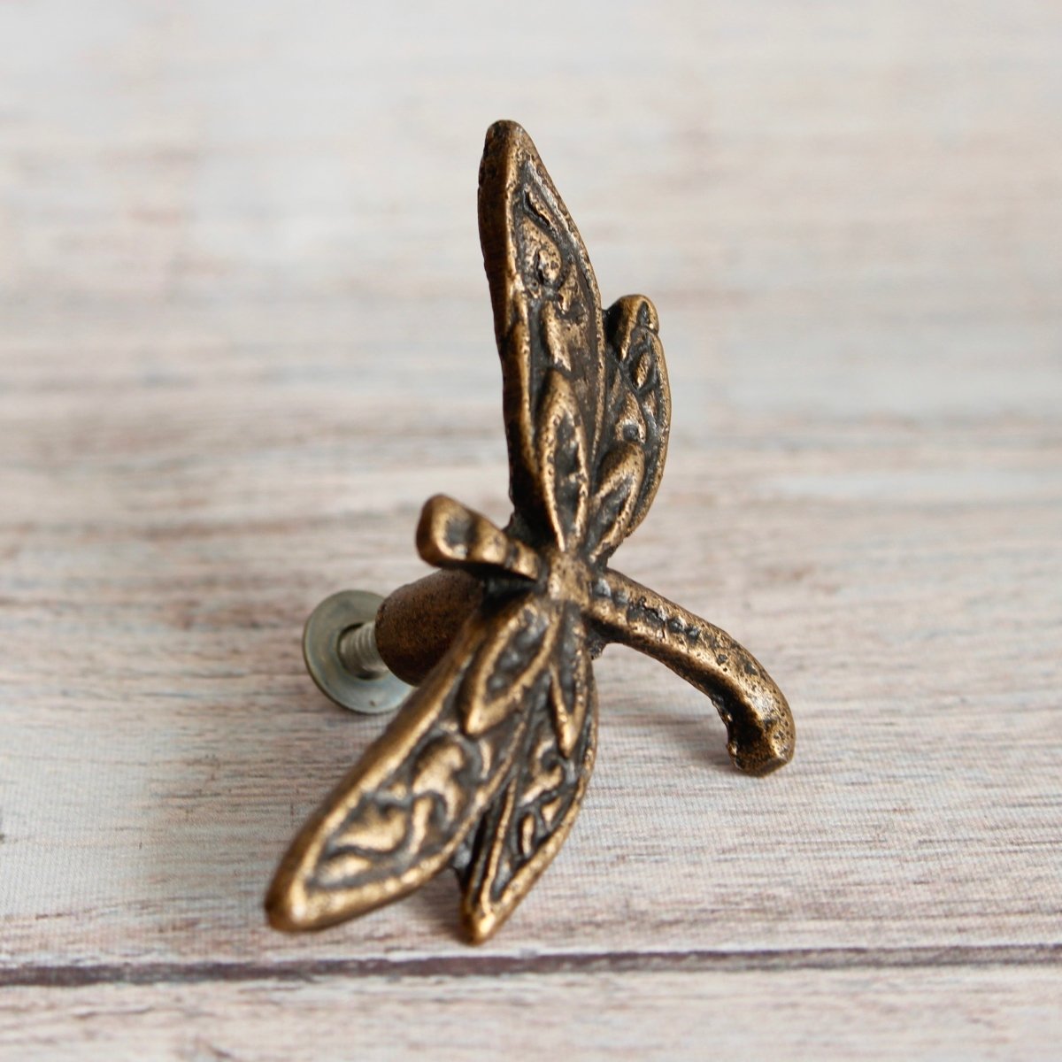 Dragonfly Knob in Antique Brass - DaRosa Creations