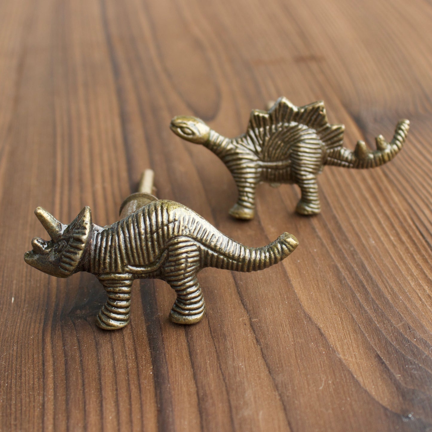 Dinosaur Cabinet Knobs Stegosaurus or Triceratops kids dresser hardware in Bronze