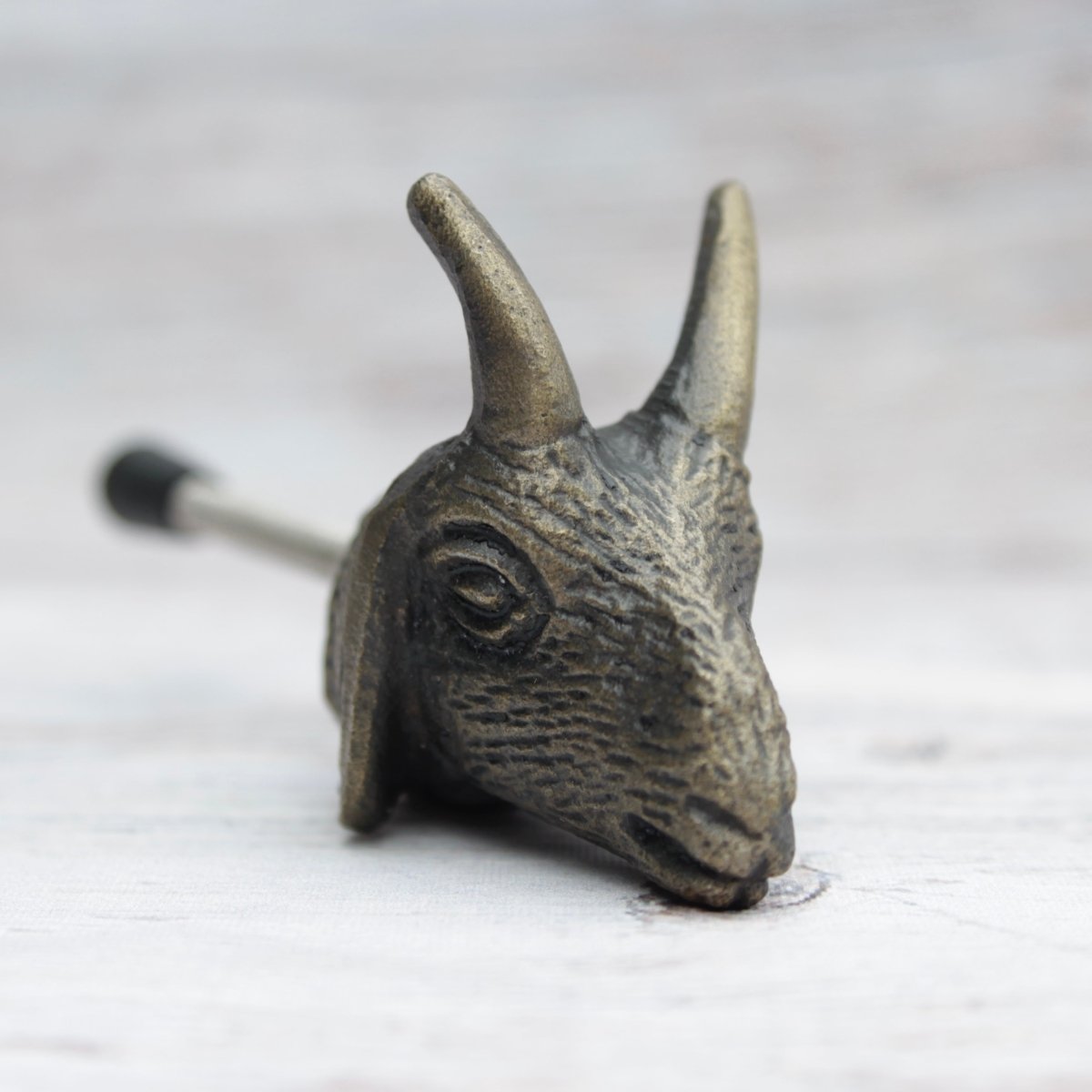 Goat Drawer Knob in Brass - DaRosa Creations