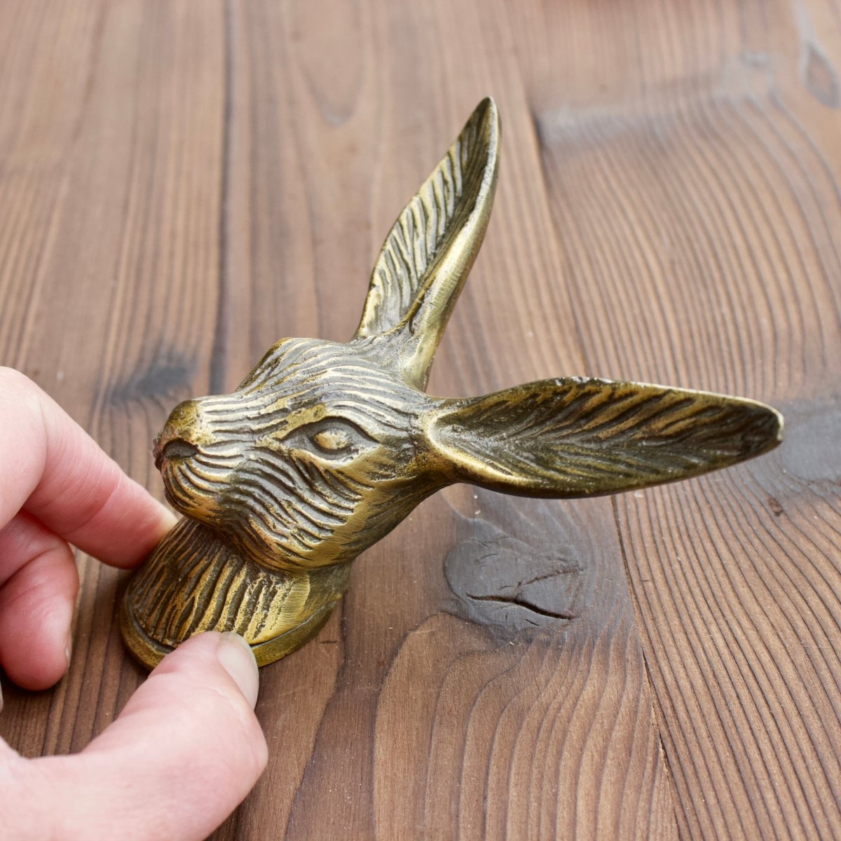 Hare Hook - Rabbit Wall Hook in Antique Brass - Woodland Decor Coat Hook -  Bunny Ear Wall Hanging - Gift Rabbit Lover – DaRosa Creations