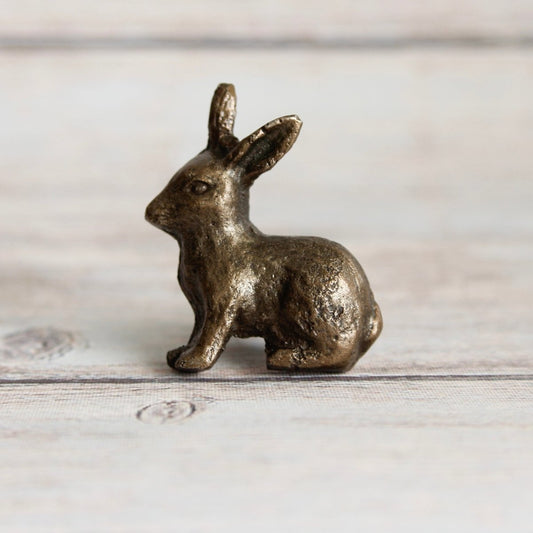 Little Rabbit Knob in Brass - DaRosa Creations