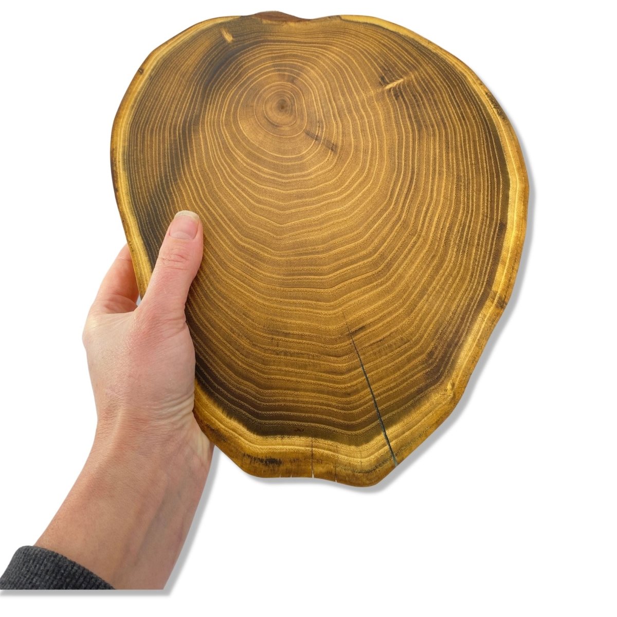 Locust Slice Charcuterie Cutting Board - DaRosa Creations