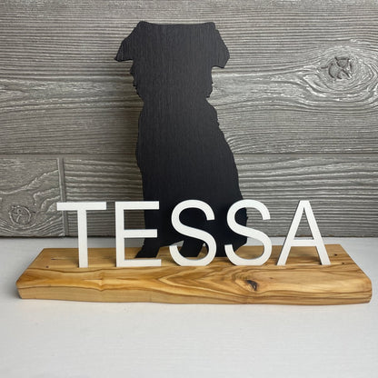 Personalized Dog Name Sign - DaRosa Creations