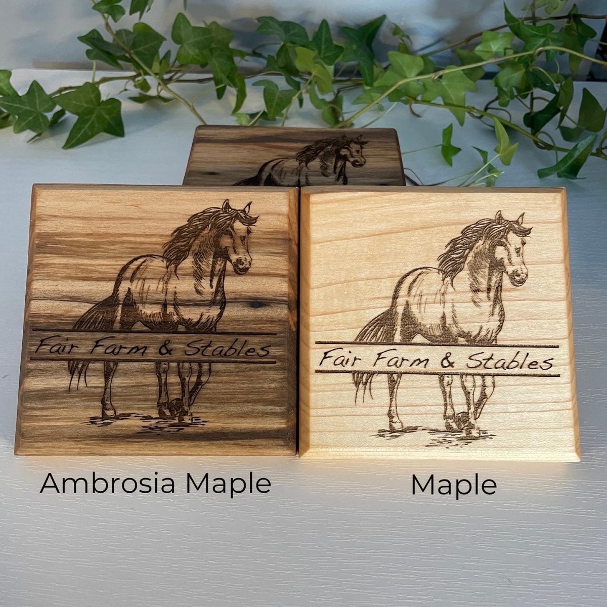 Personalized Horse Coasters SET of 2 - DaRosa Creations