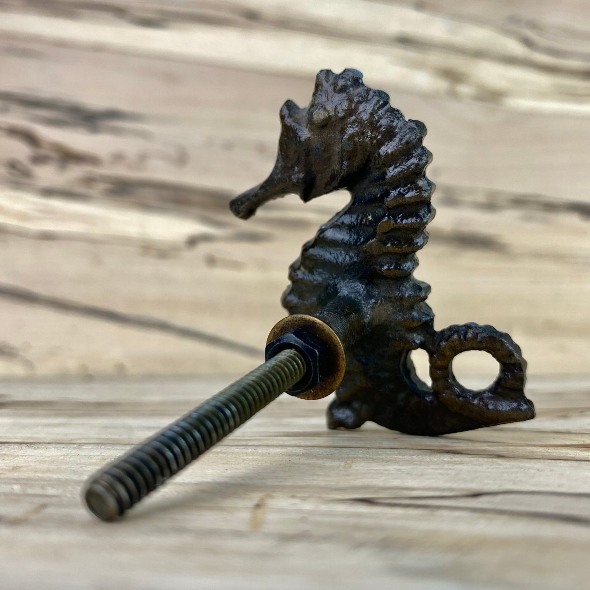Seahorse Drawer Knob in Bronze - DaRosa Creations